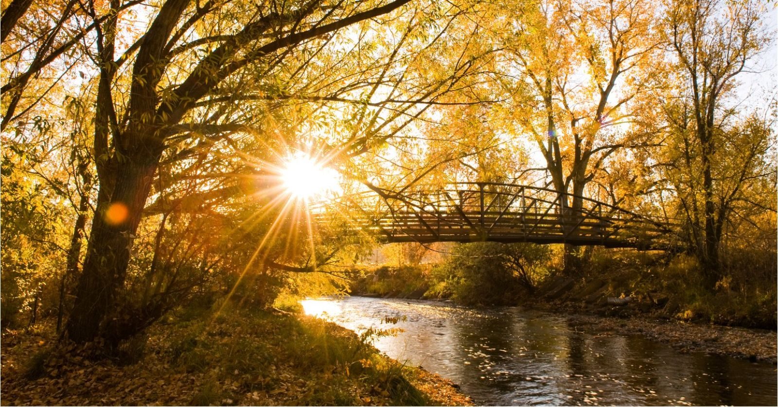 Wheat Ridge commercial cleaning service area